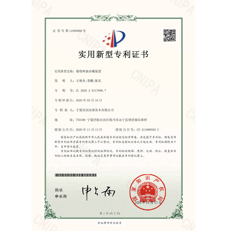 葡萄種(zhǒng)條沙藏裝置--實用新型專利證書